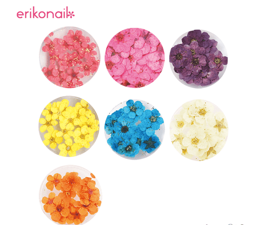 Erikonail Dried Flower (20pcs)