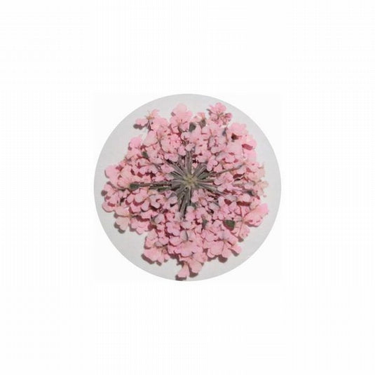 MATIERE Dried Flower Light Pink 0.2g