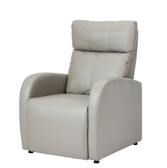 Lounge Chair DX (Legrest Linked Type) (Width 66cm)