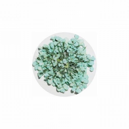 MATIERE Dried Flower Pale Blue 0.2g