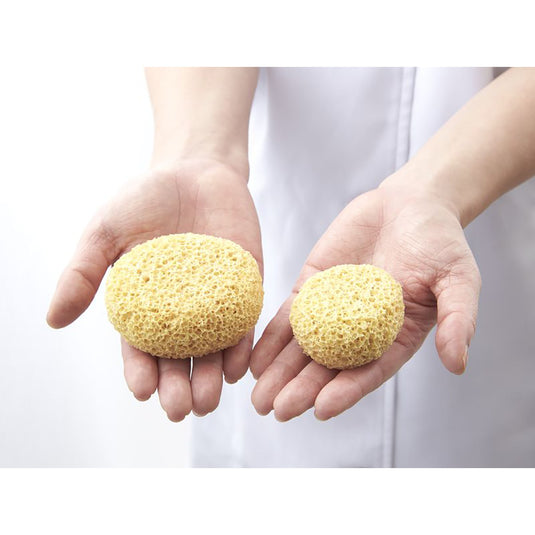 SMART COLLECTION Fiber Sponge (Oval Type) 2 pcs