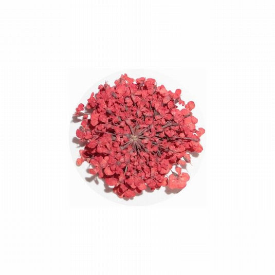 MATIERE Dried Flower Red 0.2g