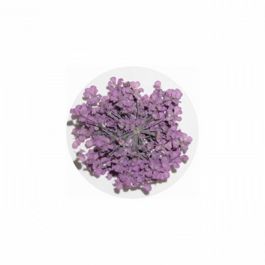 MATIERE Dried Flower Purple 0.2g