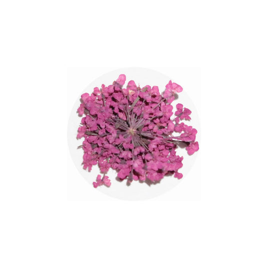 MATIERE Dreid Flower Rouge Pink 0.2g