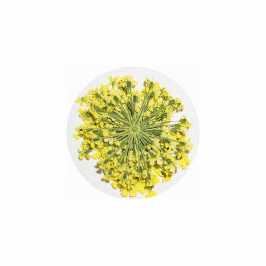 MATIERE Dried Flower Yellow 0.2g