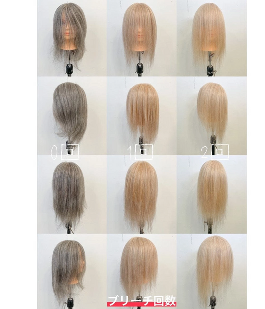 [New] Cutting Wig Gray 60 (For training/100% human hair)