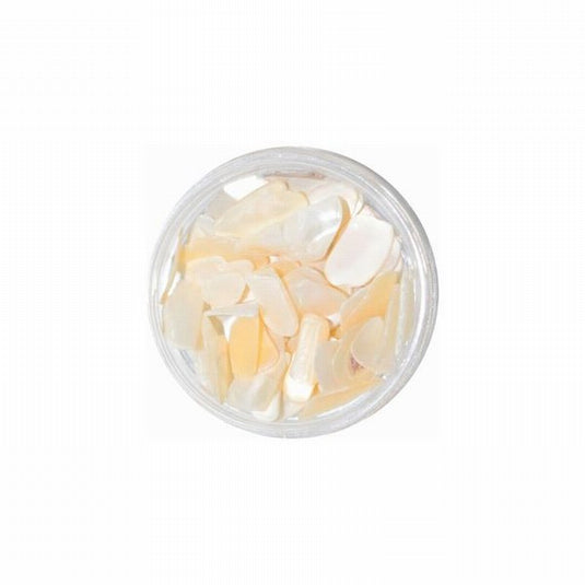 Round shell Ivory 2.5g