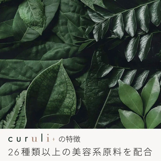 [Matsukaze] curuli+one Curuli Plus 1 agent 25g