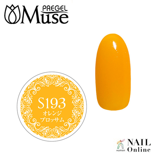 Muse Colour Gel S PGM-S193 Orange Blossom 4g