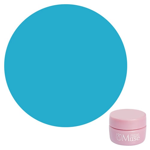 Muse Colour Gel S PGM-S195 Blooming City 4g