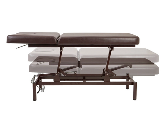 Manual Elevating Reclining Bed DX (Omega Style) with Face Mat) (Completely Assembled)-Dark Brown