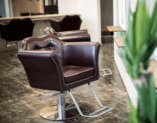 [Luxury] Belta Styling Chair (Top) (HD-A-020) - Classic Brown