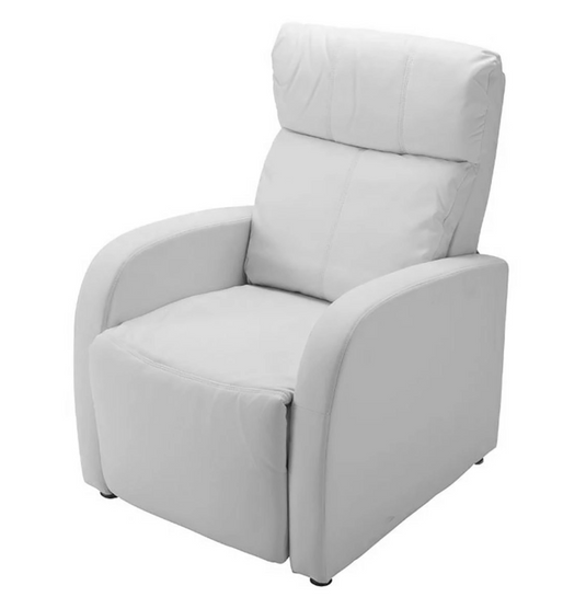 Lounge Chair DX (Legrest Linked Type) (Width 66cm)