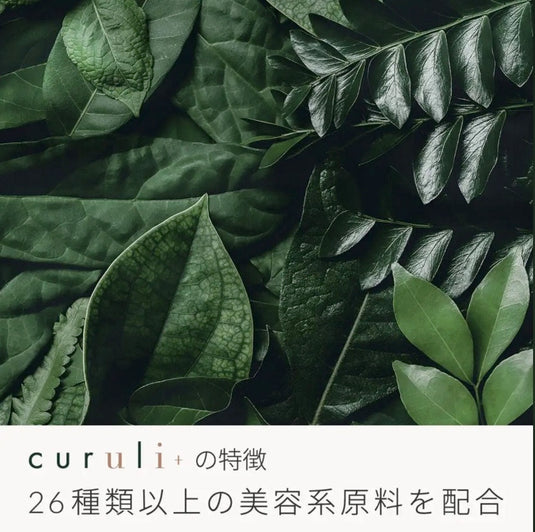 [Matsukaze] curuli+two curuli plus  2 agents 25g